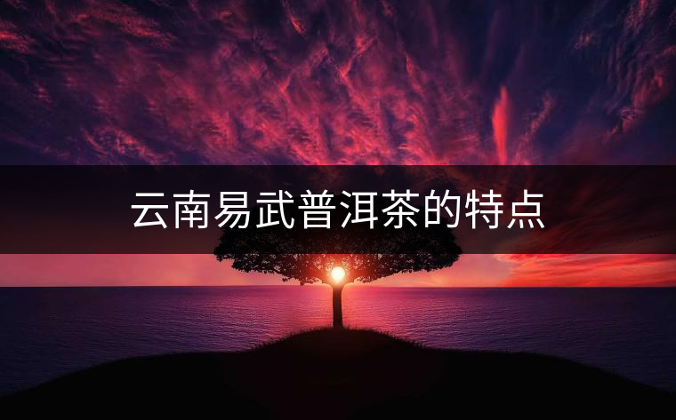 云南易武普洱茶的特點(diǎn) 云南易武普洱茶的特點(diǎn)
