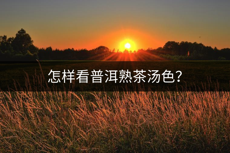 怎樣看普洱熟茶湯色？