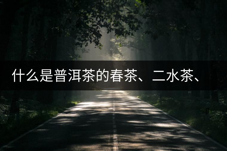 什么是普洱茶的春茶、二水茶、三水茶、四水茶