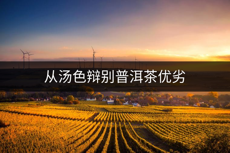 從湯色辯別普洱茶優(yōu)劣