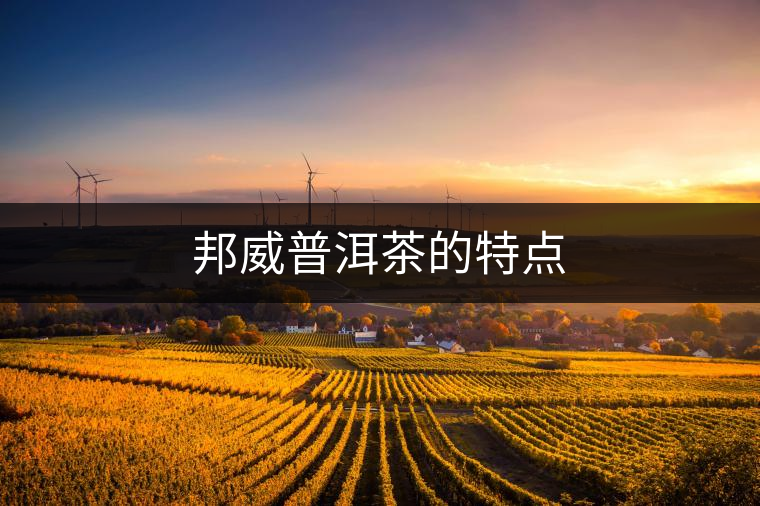 邦威普洱茶的特點(diǎn)