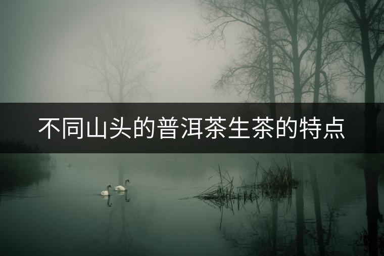 不同山頭的普洱茶生茶的特點 不同山頭的普洱茶生茶的特點