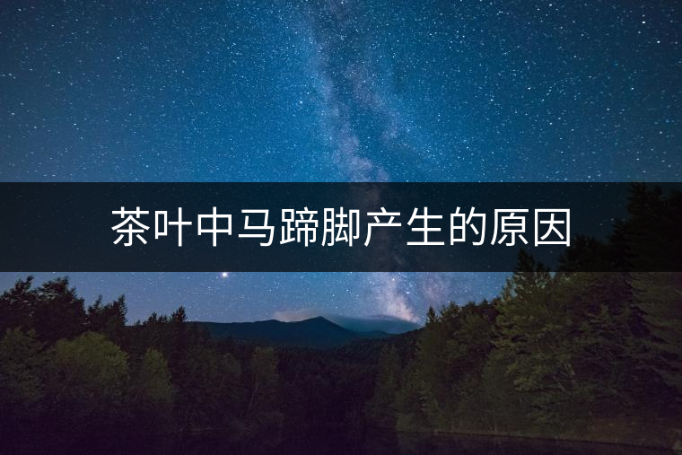 茶葉中馬蹄腳產(chǎn)生的原因 茶葉中馬蹄腳產(chǎn)生的原因