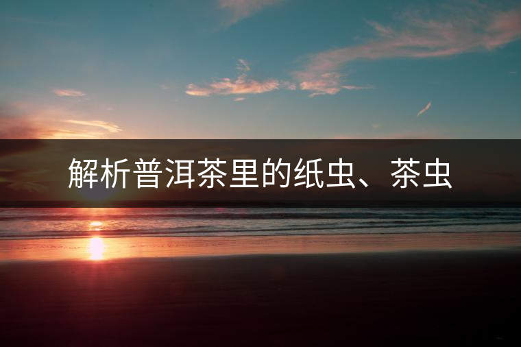 解析普洱茶里的紙蟲(chóng)、茶蟲(chóng)