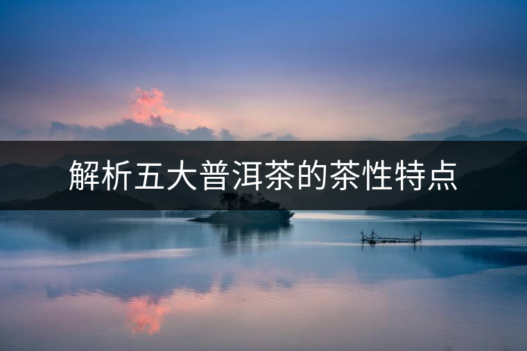 解析五大普洱茶的茶性特點(diǎn)