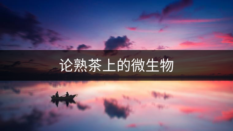 論熟茶上的微生物 論熟茶上的微生物
