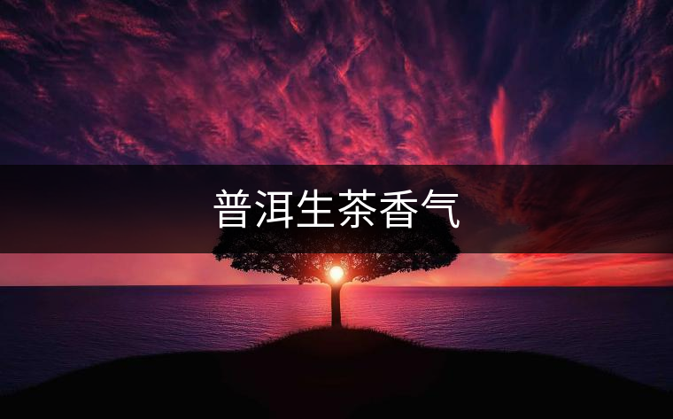 普洱生茶香氣