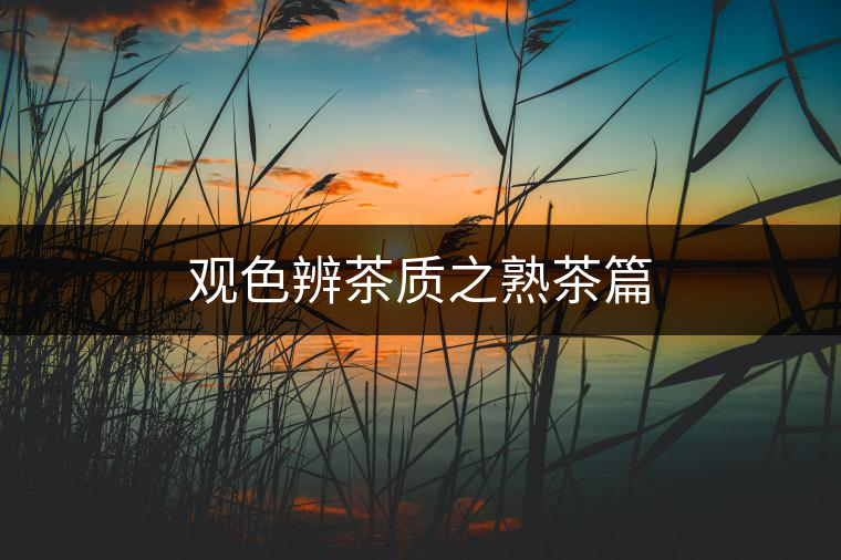 觀色辨茶質(zhì)之熟茶篇 觀色辨茶質(zhì)之熟茶篇