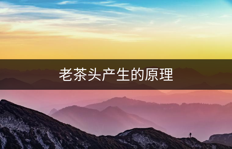 老茶頭產(chǎn)生的原理 老茶頭產(chǎn)生的原理