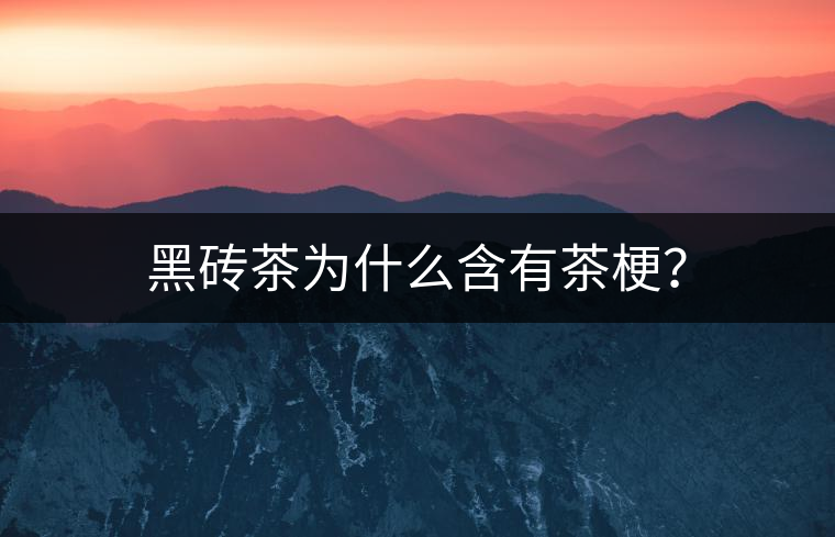 黑磚茶為什么含有茶梗？