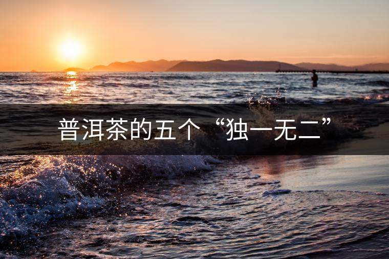 普洱茶的五個“獨一無二”