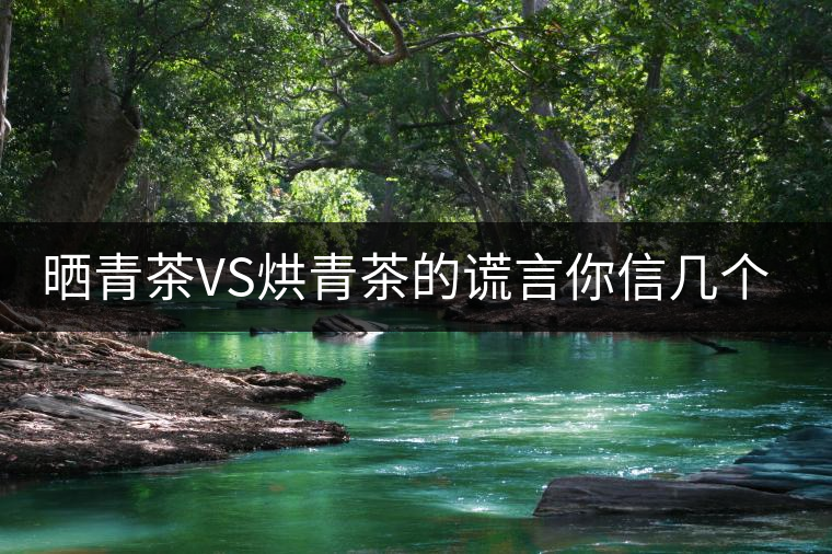 曬青茶VS烘青茶的謊言你信幾個(gè)？