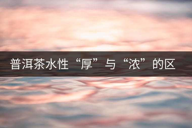 普洱茶水性“厚”與“濃”的區(qū)別
