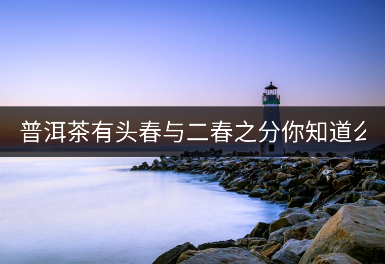 普洱茶有頭春與二春之分你知道么？