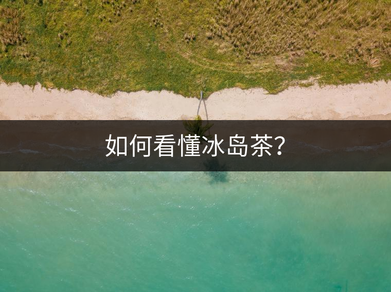 如何看懂冰島茶？