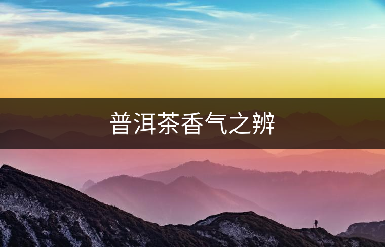 普洱茶香氣之辨