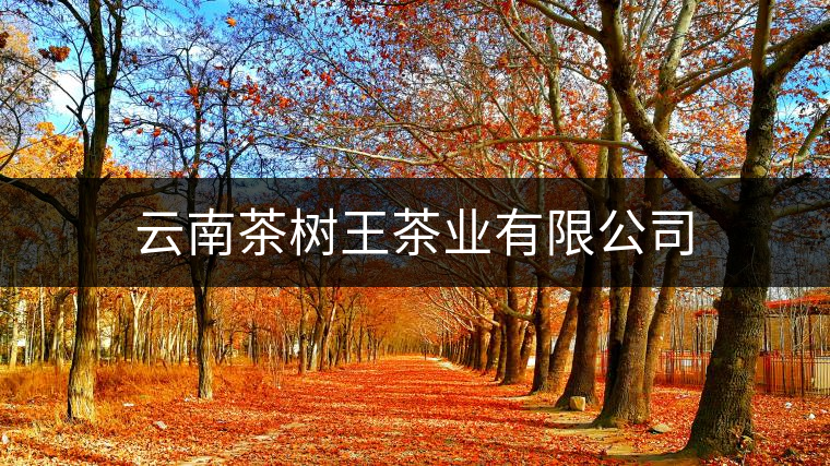云南茶樹王茶業(yè)有限公司 云南茶樹王茶業(yè)有限公司