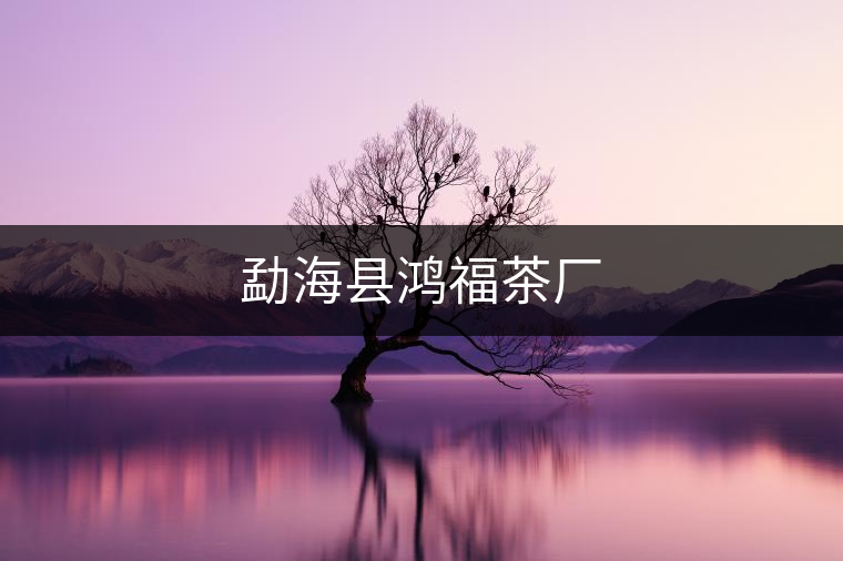 勐?？h鴻福茶廠