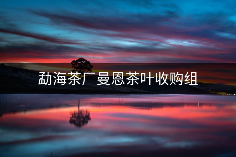 勐海茶廠曼恩茶葉收購(gòu)組