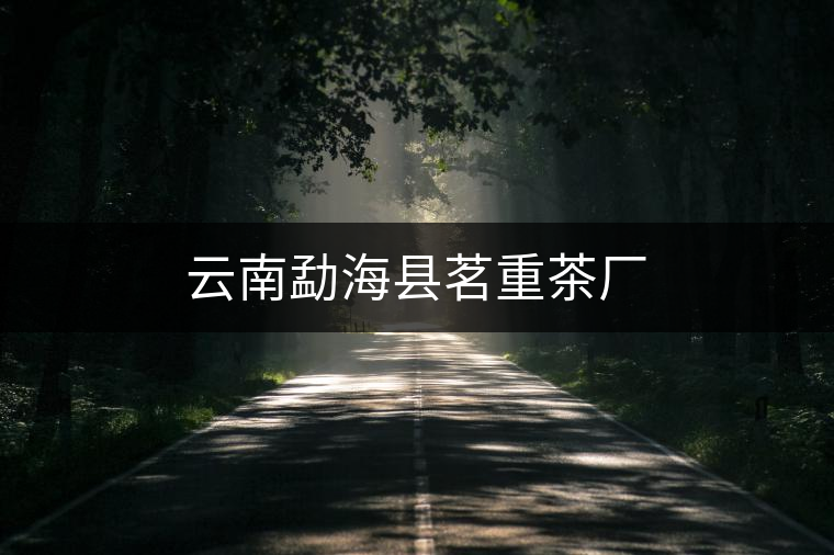云南勐?？h茗重茶廠