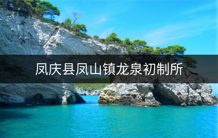 鳳慶縣鳳山鎮(zhèn)龍泉初制所 鳳慶縣鳳山鎮(zhèn)龍泉初制所