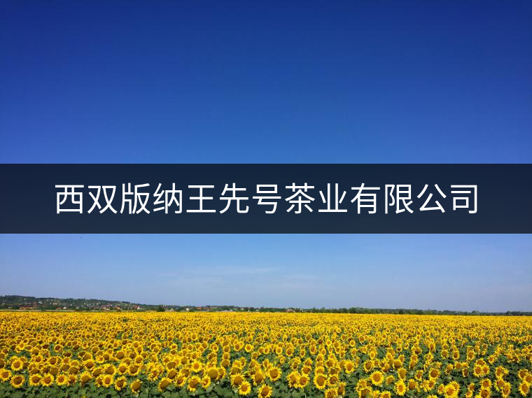西雙版納王先號茶業(yè)有限公司