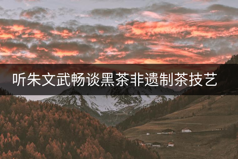 聽(tīng)朱文武暢談黑茶非遺制茶技藝的市場(chǎng)的開(kāi)拓之路