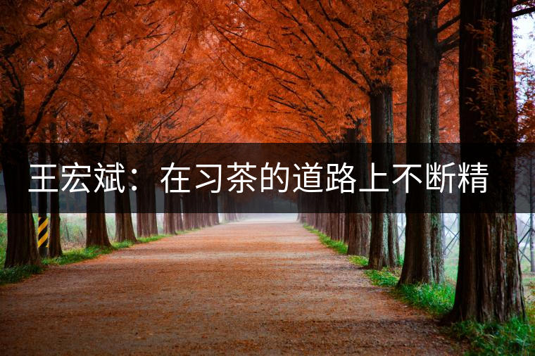 王宏斌：在習(xí)茶的道路上不斷精進