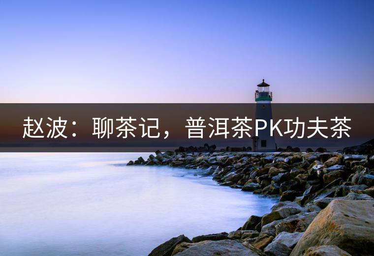 趙波：聊茶記，普洱茶PK功夫茶