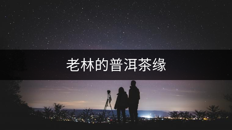 老林的普洱茶緣 老林的普洱茶緣