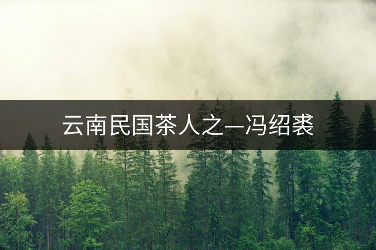 云南民國(guó)茶人之—馮紹裘 云南民國(guó)茶人之—馮紹裘