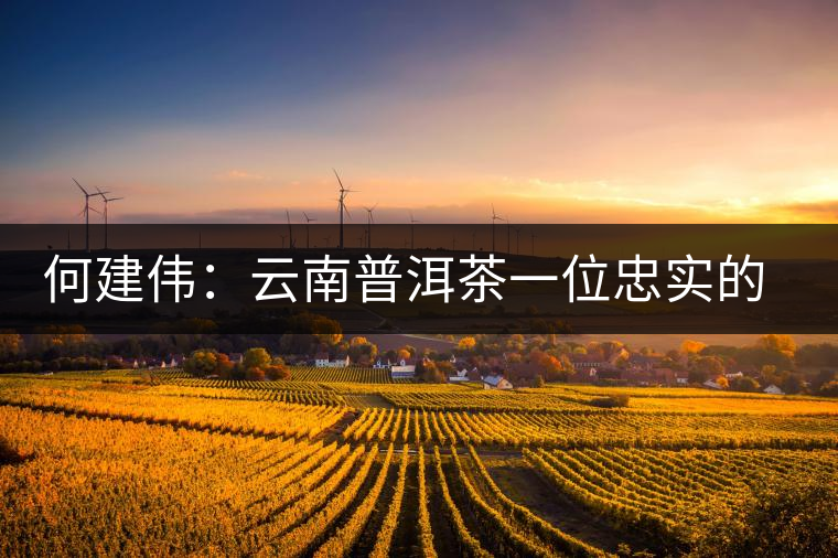 何建偉:云南普洱茶一位忠實的吶喊者 何建偉:云南普洱茶一位忠實的吶喊者