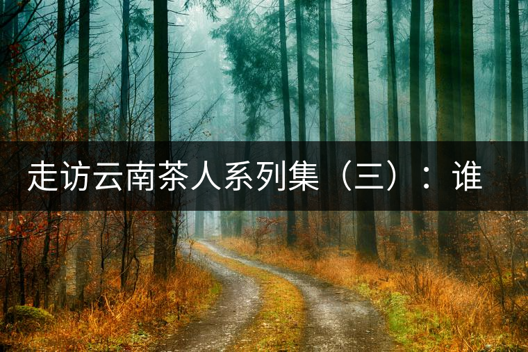 走訪云南茶人系列集（三）：誰說普洱不產(chǎn)茶？——張順高