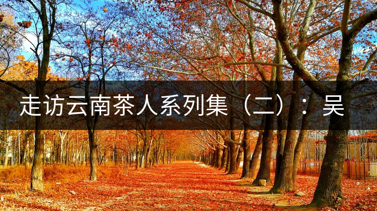 走訪云南茶人系列集(二):吳覺(jué)農(nóng)的云南弟子——彭承鑑 走訪云南茶人系列集(二):吳覺(jué)農(nóng)的云南弟子——彭承鑑