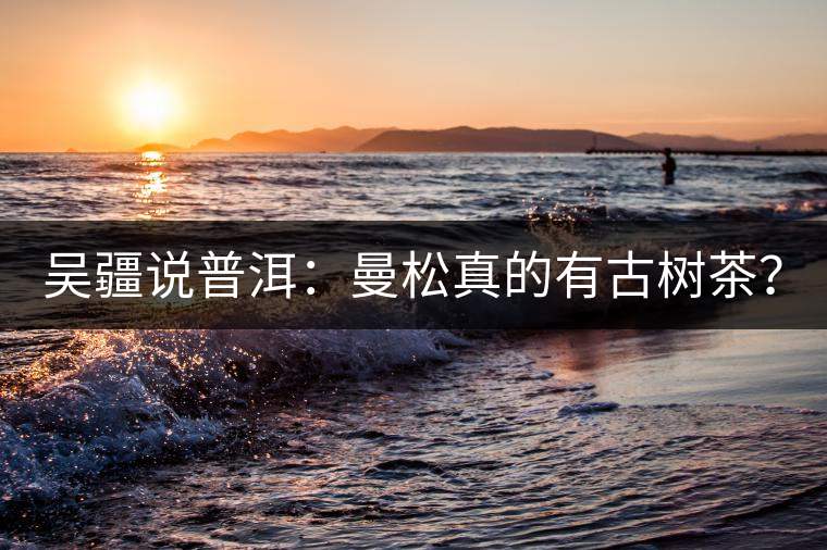 吳疆說普洱：曼松真的有古樹茶？