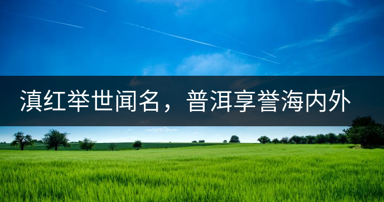滇紅舉世聞名，普洱享譽(yù)海內(nèi)外丨專家座談——虞富蓮