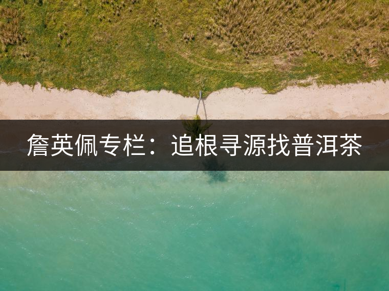 詹英佩專(zhuān)欄：追根尋源找普洱茶