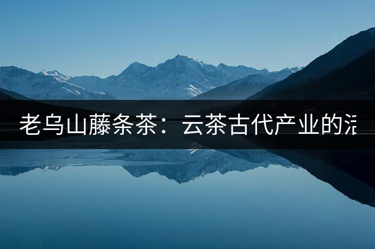 老烏山藤條茶：云茶古代產(chǎn)業(yè)的活見證（1）