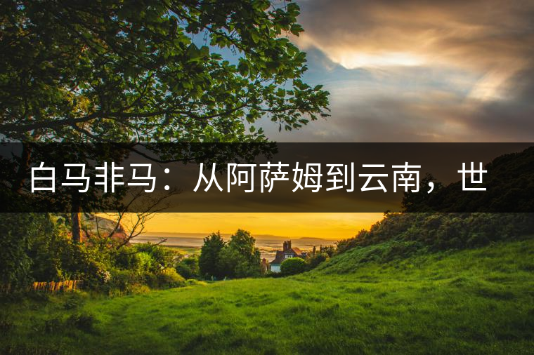 白馬非馬：從阿薩姆到云南，世界茶樹(shù)起源爭(zhēng)論的誤區(qū)