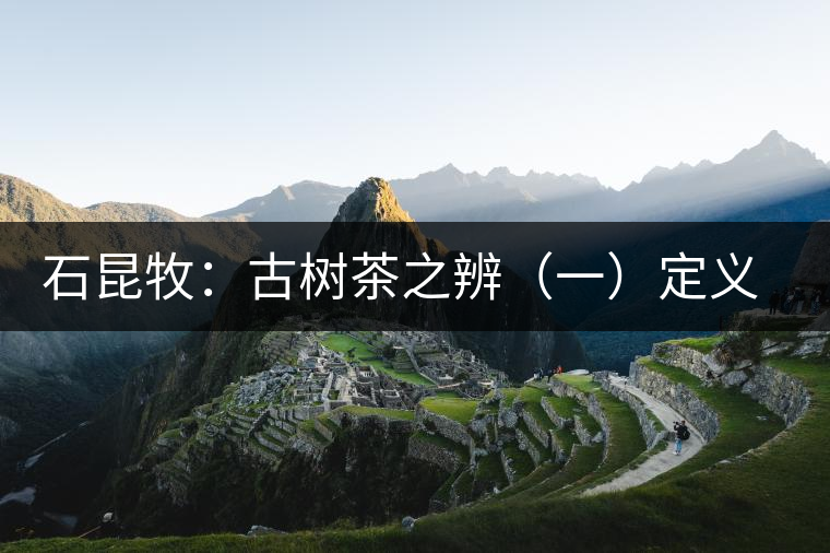 石昆牧：古樹(shù)茶之辨（一）定義厘清