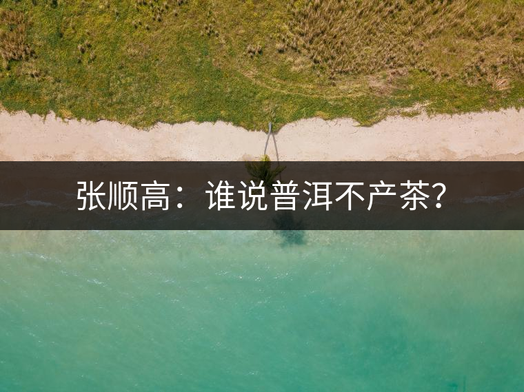 張順高：誰說普洱不產(chǎn)茶？