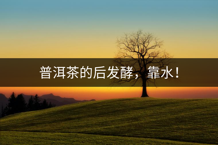 普洱茶的后發(fā)酵，靠水！