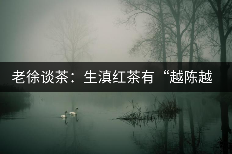 老徐談茶：生滇紅茶有“越陳越香”的特點嗎？