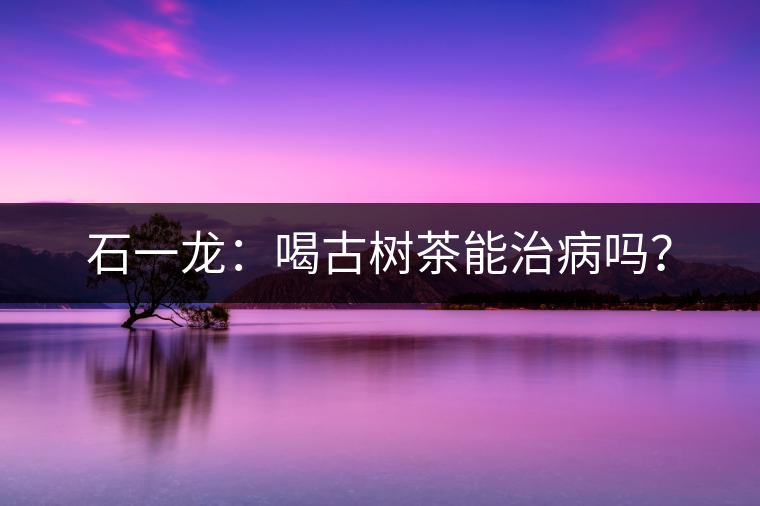 石一龍：喝古樹茶能治病嗎？