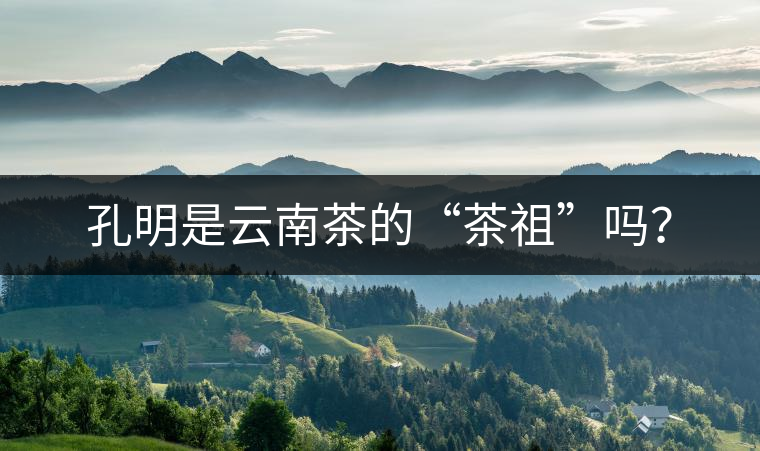 孔明是云南茶的“茶祖”嗎？
