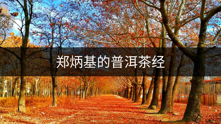 鄭炳基的普洱茶經 鄭炳基的普洱茶經