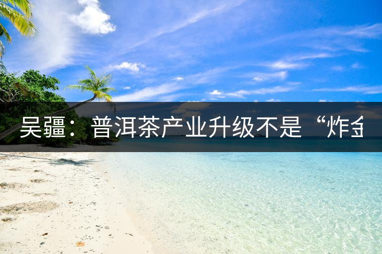 吳疆:普洱茶產(chǎn)業(yè)升級不是“炸金花” 吳疆:普洱茶產(chǎn)業(yè)升級不是“炸金花”