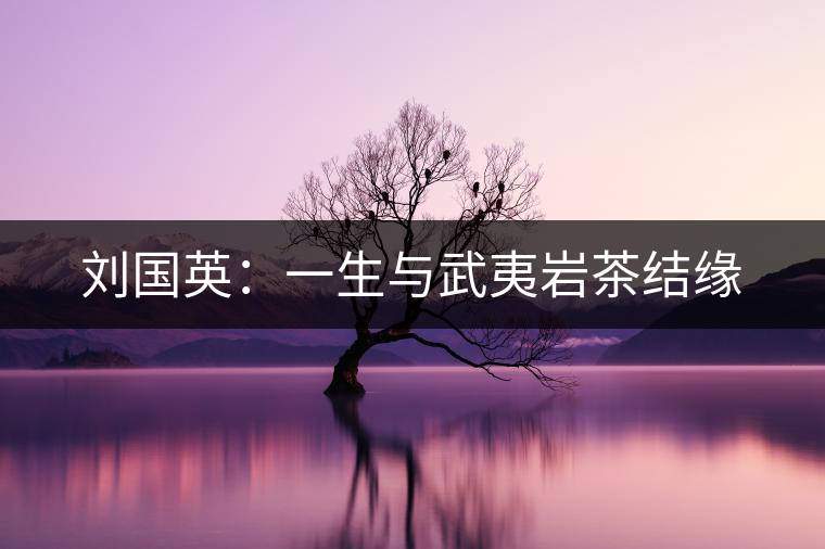 劉國英:一生與武夷巖茶結緣 劉國英:一生與武夷巖茶結緣