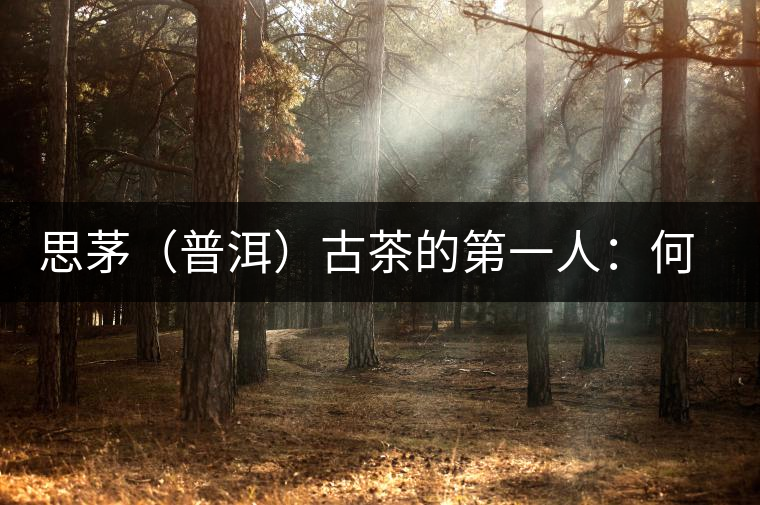 思茅(普洱)古茶的第一人:何仕華 思茅(普洱)古茶的第一人:何仕華