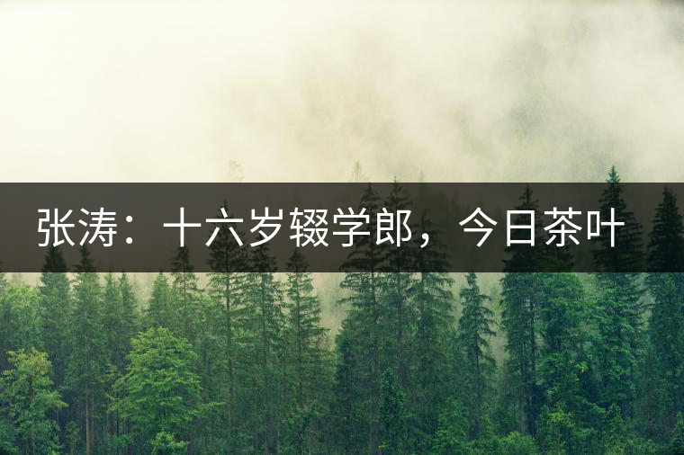 張濤：十六歲輟學(xué)郎，今日茶葉中堅(jiān)
